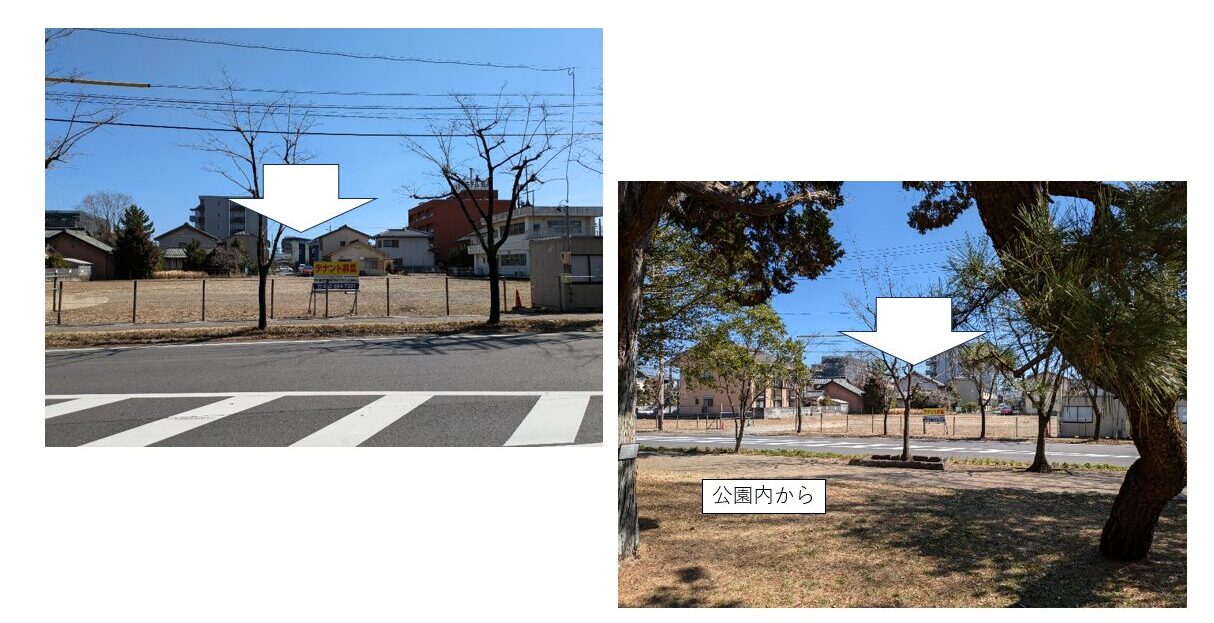 スライド画像