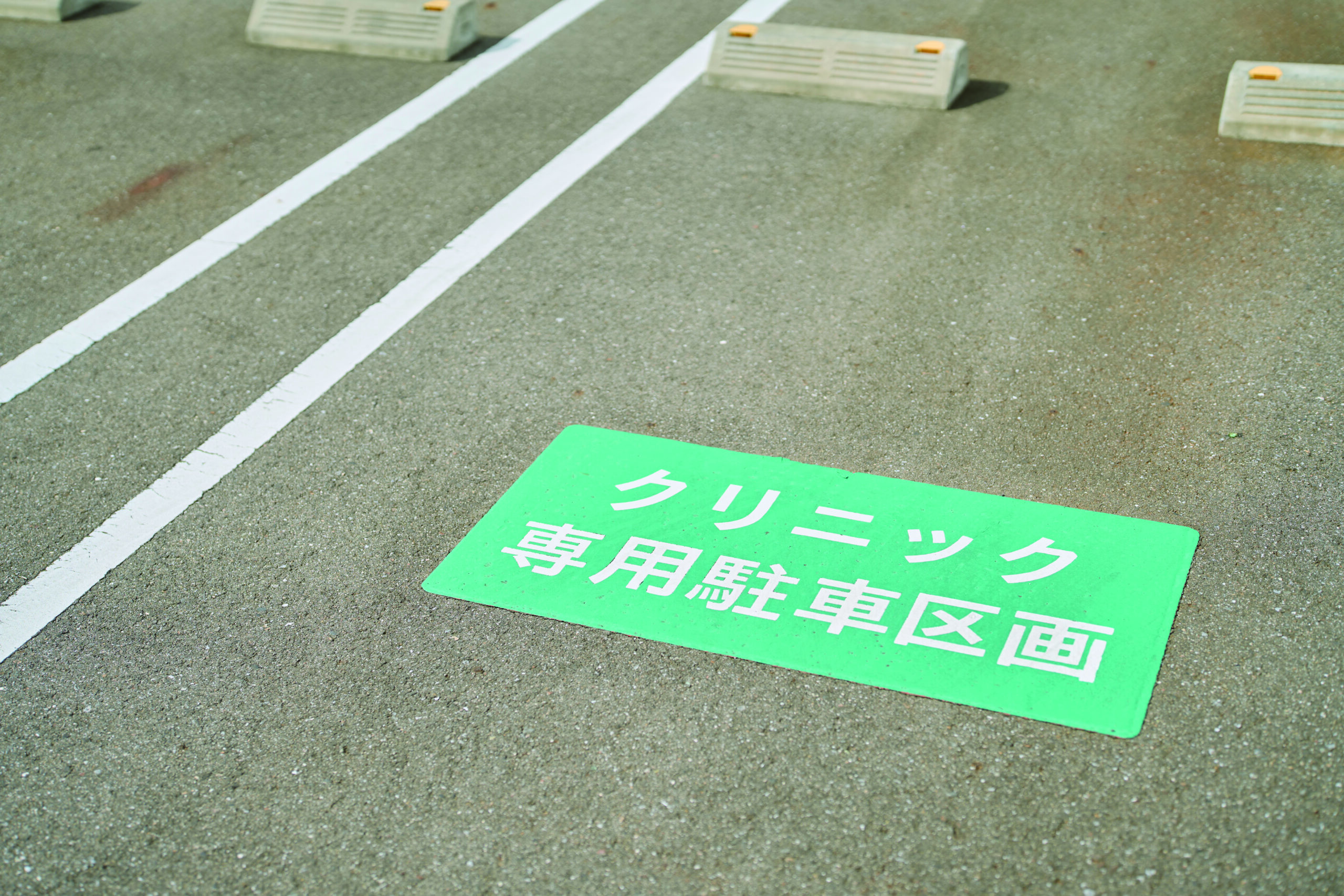 記事画像